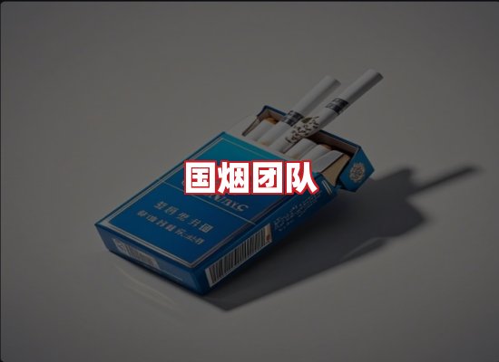 国烟团队